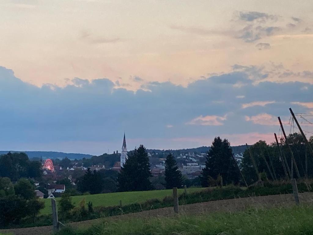 Oekohotel Aus Holz Alea Eco Pfaffenhofen an der Ilm Zewnętrze zdjęcie